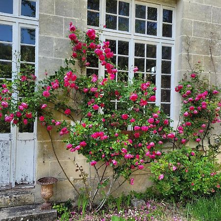 Castel Saint Laurent Langeais Luaran gambar
